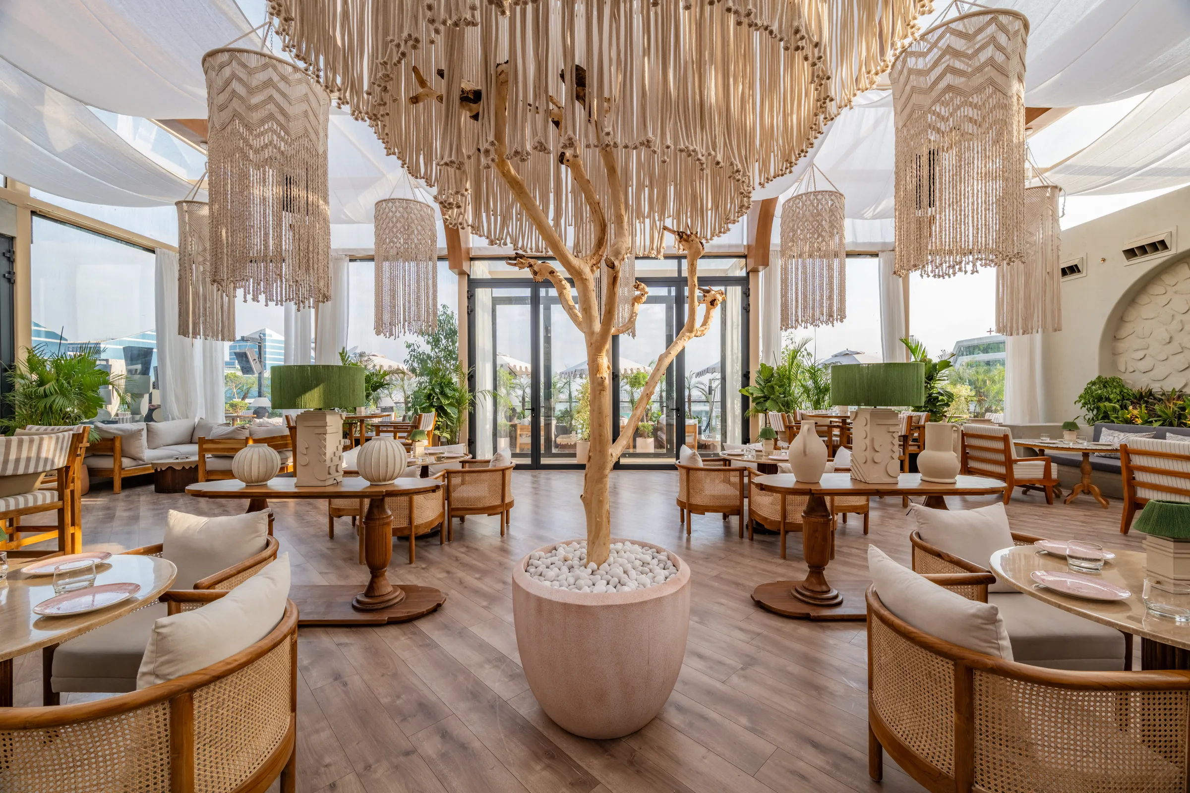 Cane chairs round the tree in the glasshouse