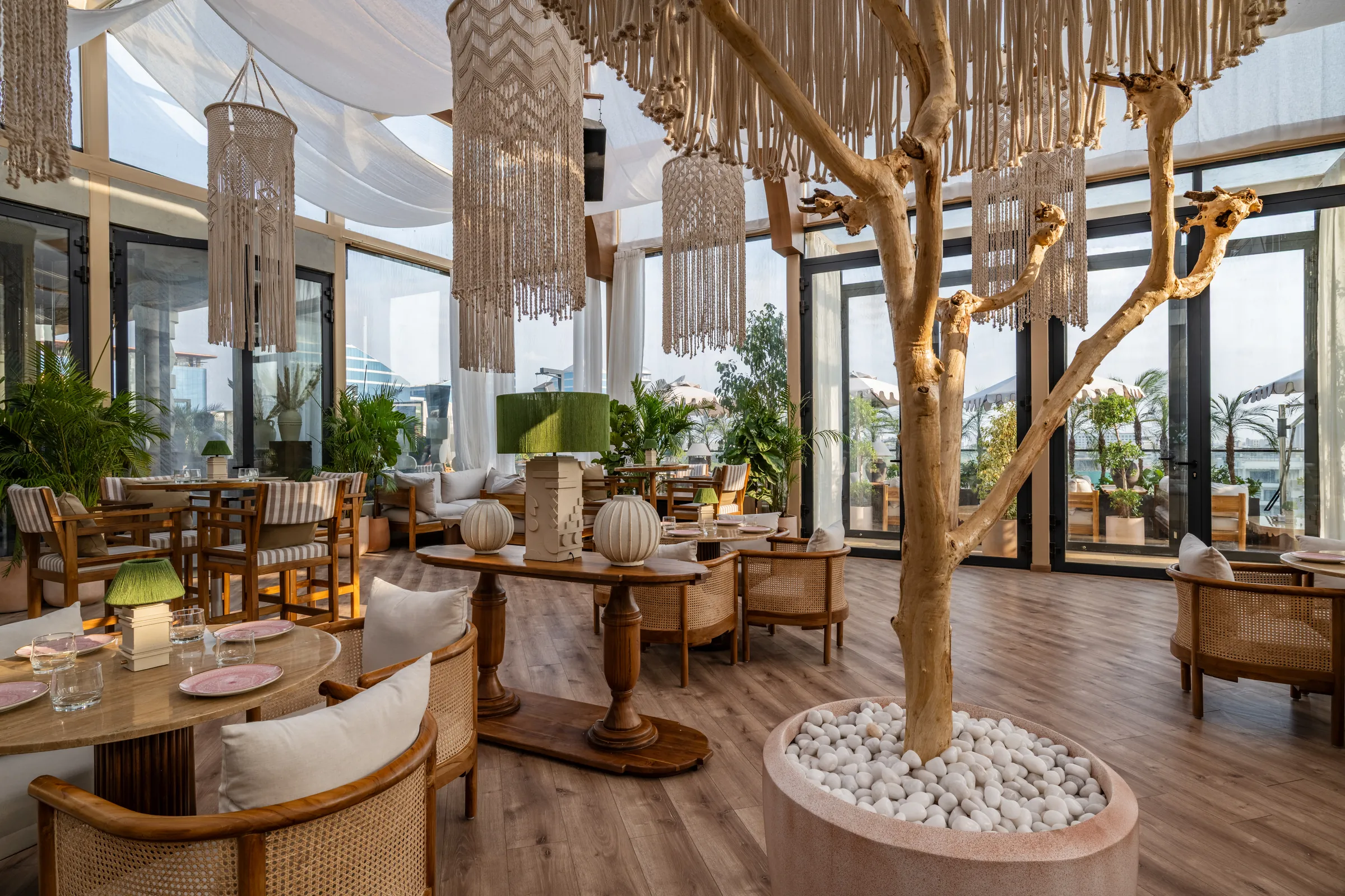 The glasshouse — macramé chandeliers and a preserved tree over cane chairs in daylight